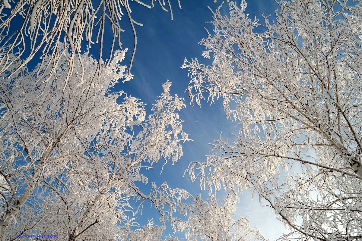 Морозное утро конца января... - Андрей Заломленков
