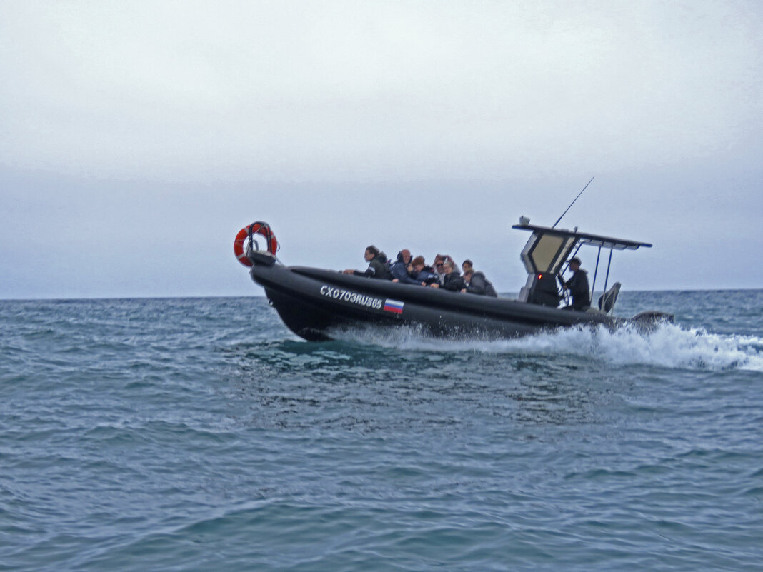 В гости к нерпам - ИРЭН@ .