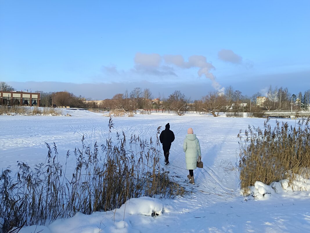 Про январь... - Мария Васильева