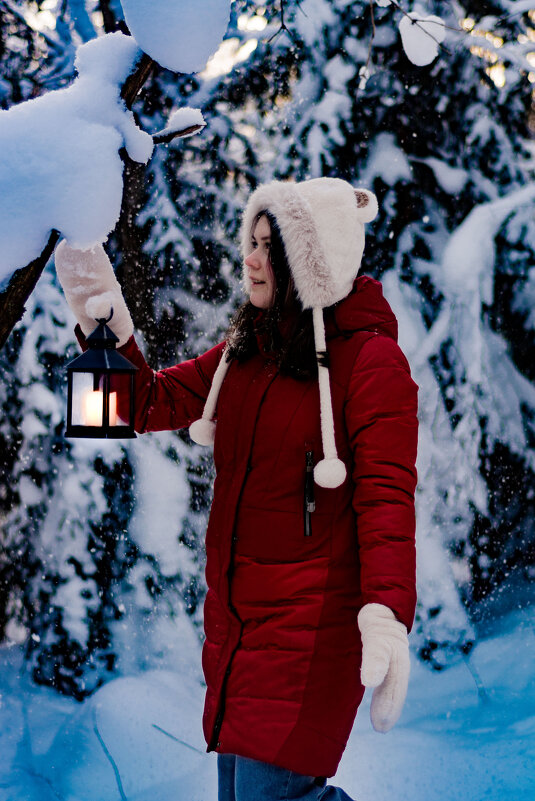 Зимняя сказка - Александра В.