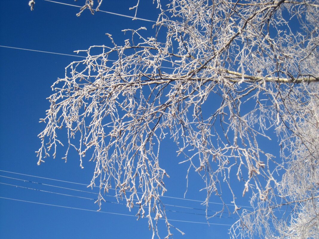 Иней - Елена Семигина