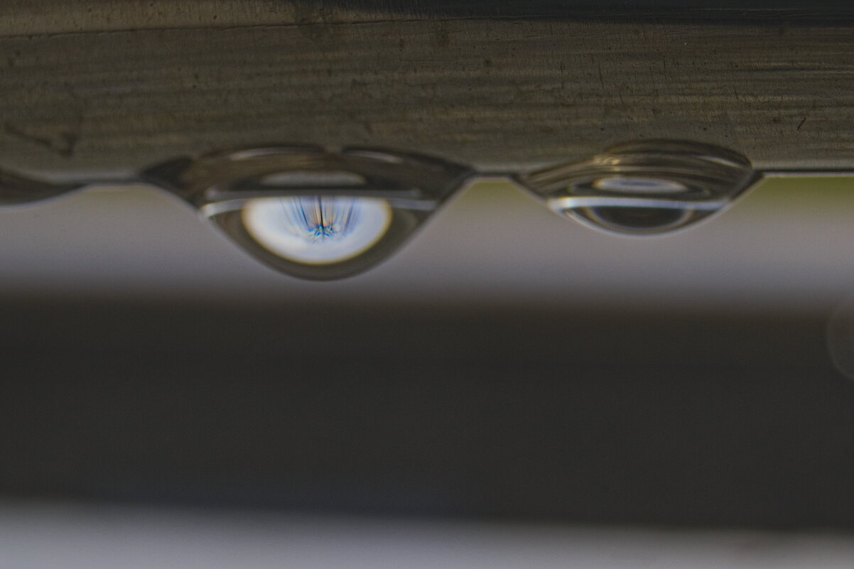 Обратная сторона поручня - Giant Tao /