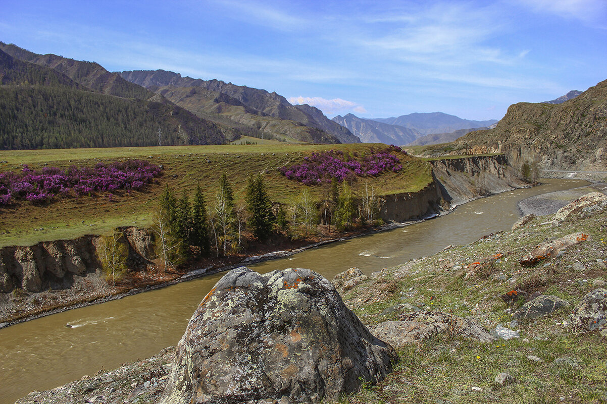 Весенняя река, приукрасилась - елена беликова