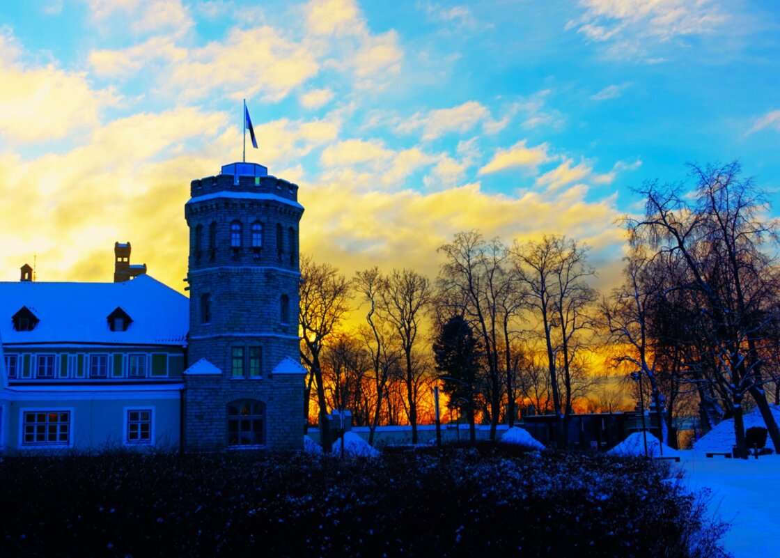 Филиал Исторического музея - Замок Маарьямяэ - Aida10 