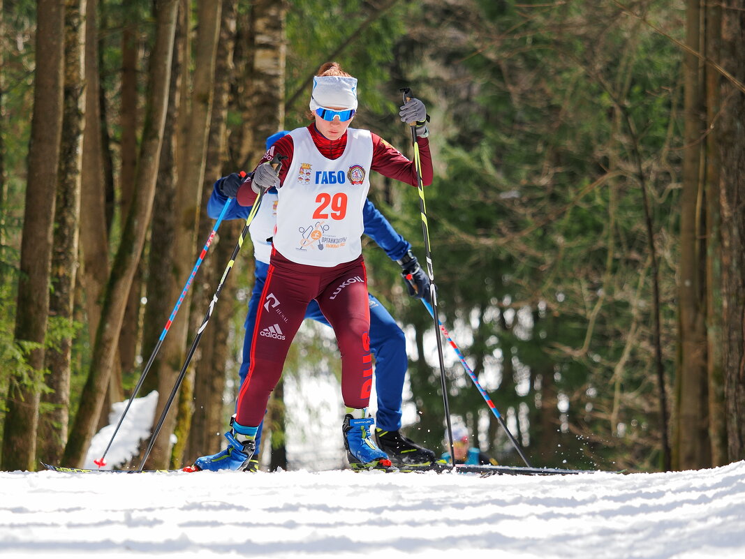 Из лыжного - Евгений Седов