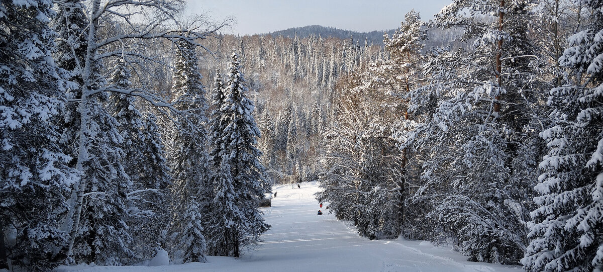 Вид сверху лучше!!! - Радмир Арсеньев