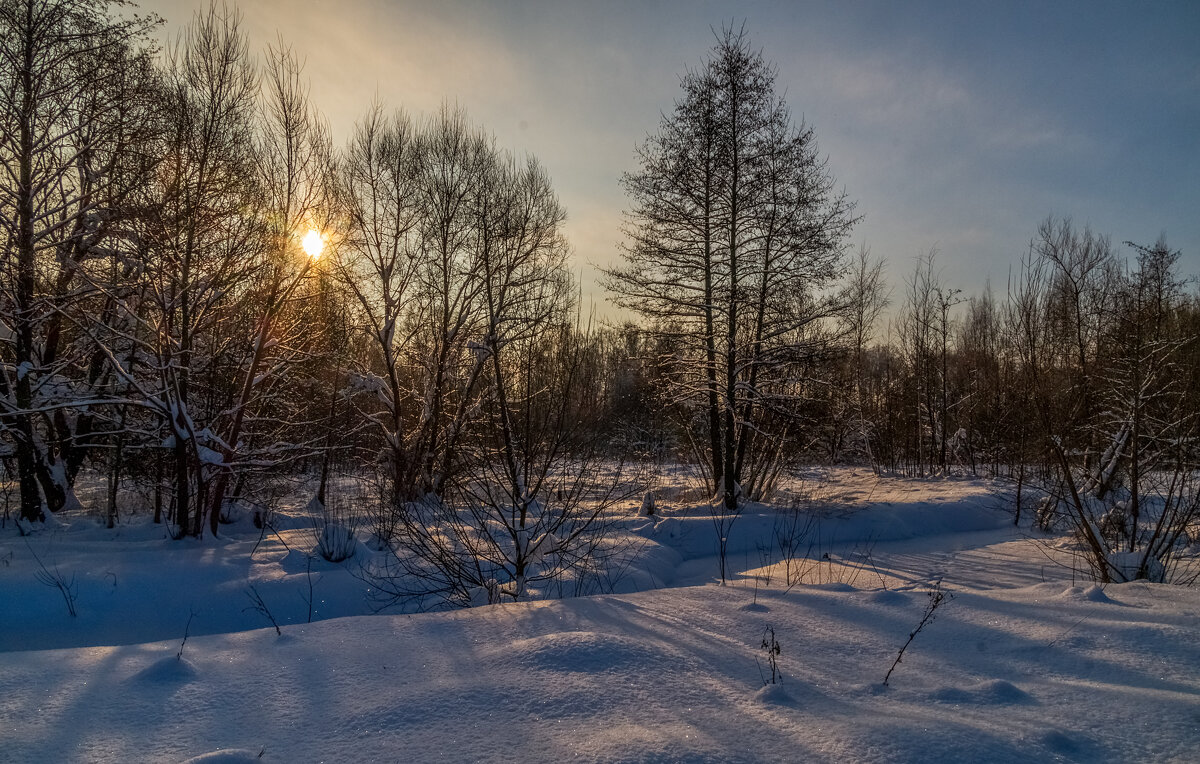 Морозное утро 2 - Андрей Дворников