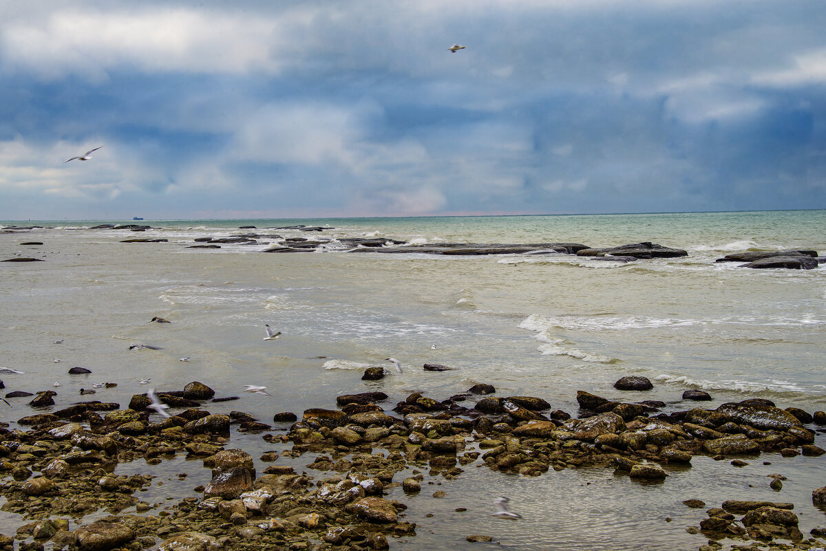 Каспий - Анатолий Чикчирный