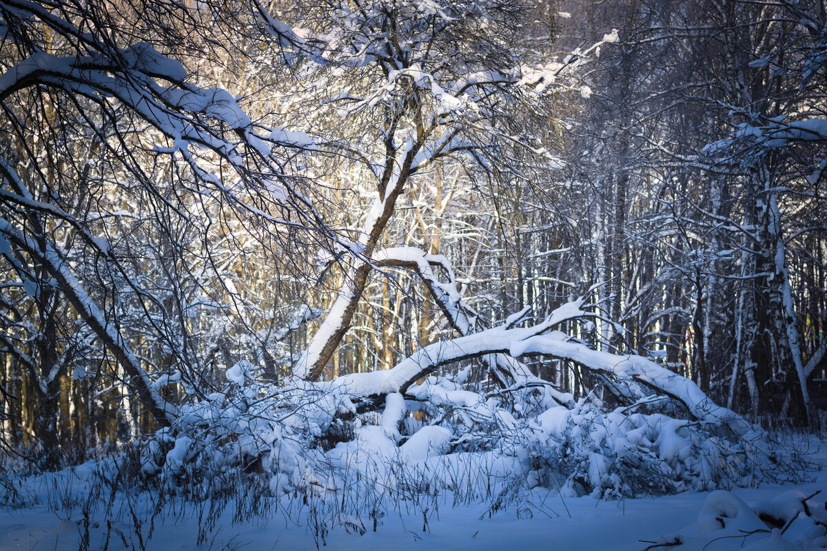 мороз и солнце... - Артём Евтюхов