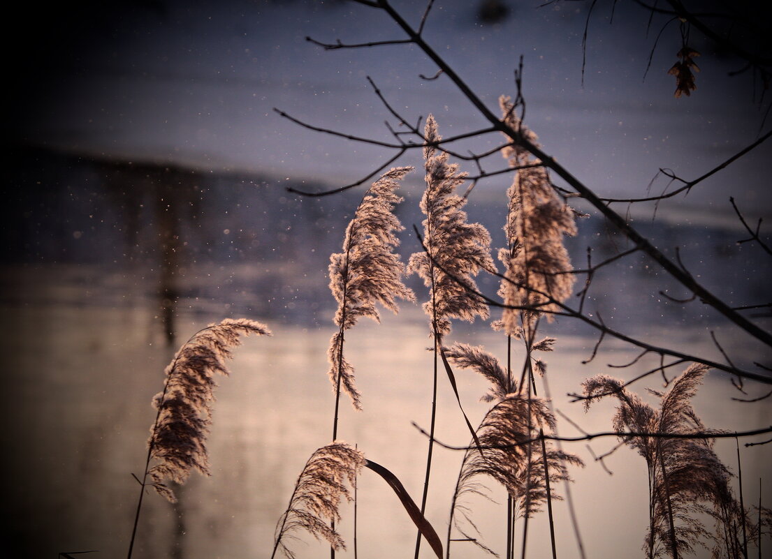 ...у реки... - Александр Герасенков