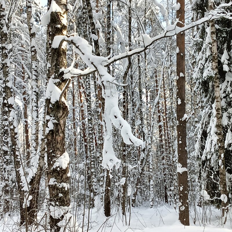 на охоте - Владимир 