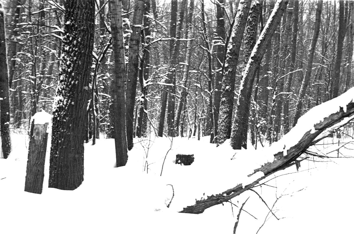 Из прошлого - Сергей Хрущёв