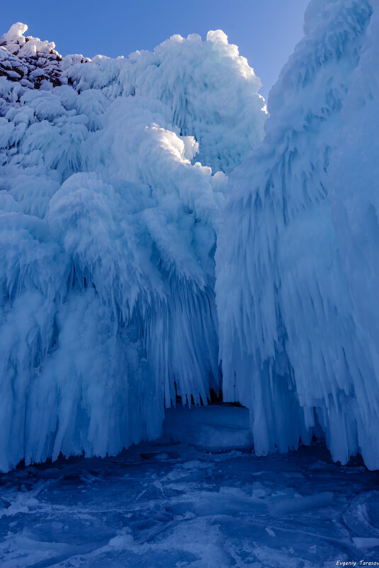 Сокои - Евгений Тарасов 