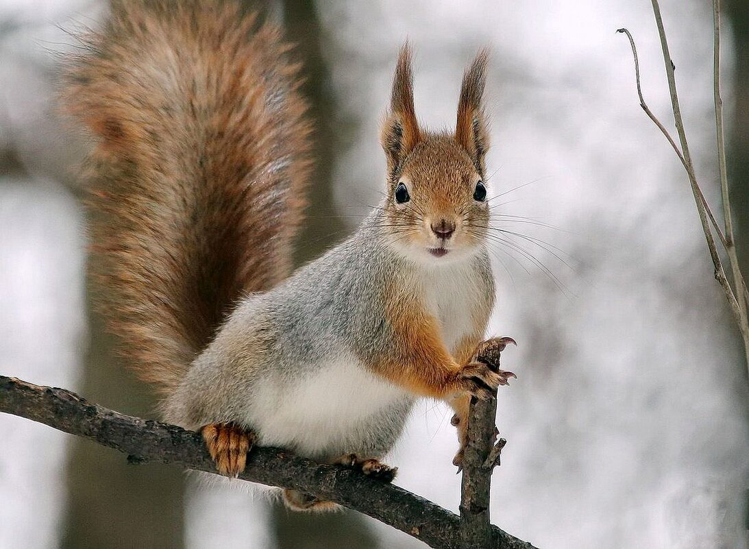 ВЫ КО МНЕ? - ZNatasha -