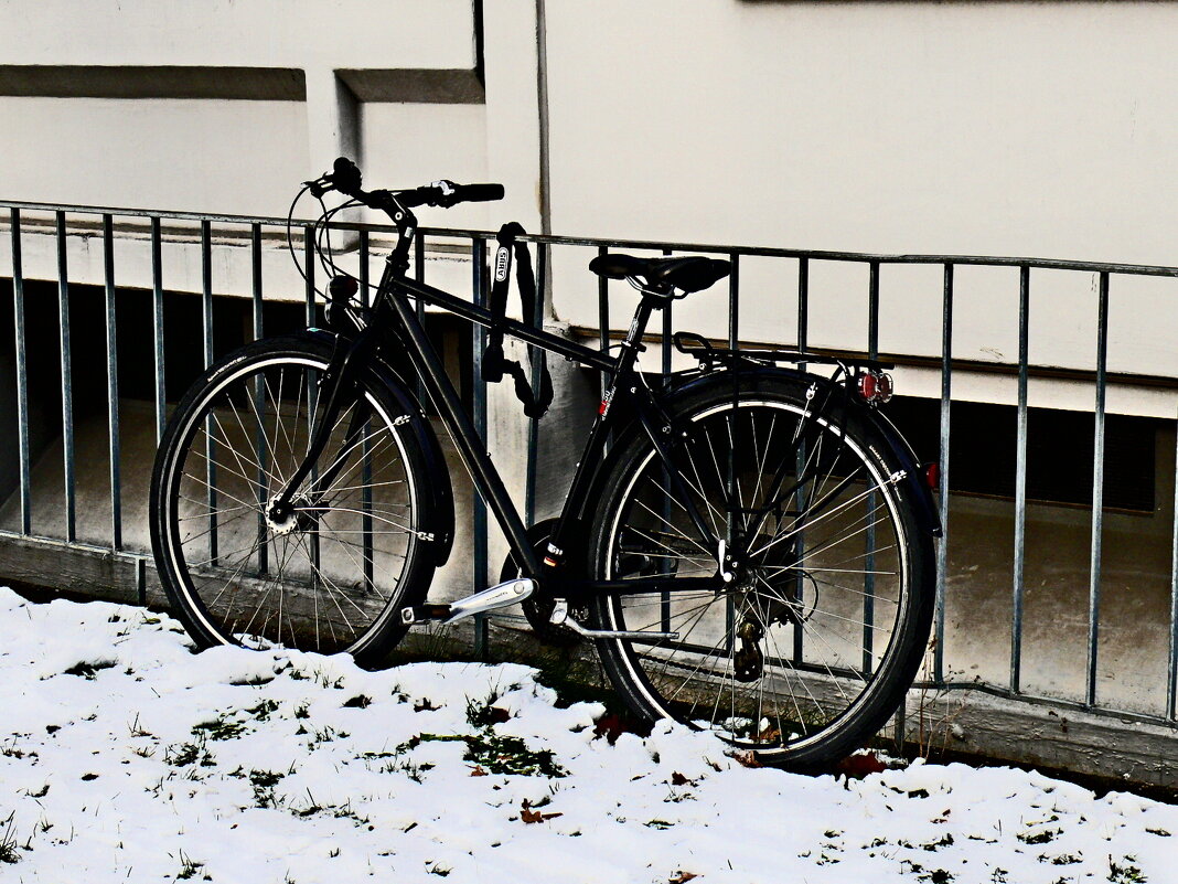 Южная зима - 18 - Алексей Кузнецов