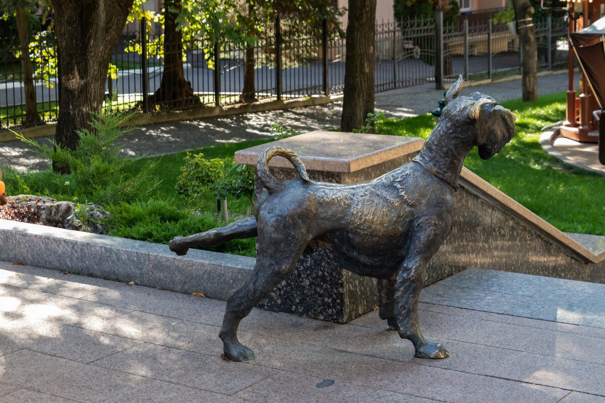 писающий пес - navalon M писающий пес - navalon M