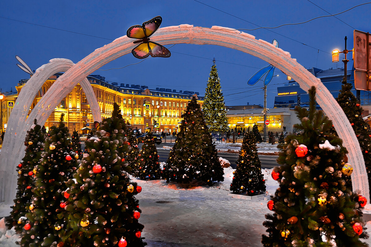 ... - ВЛАДИМИР 