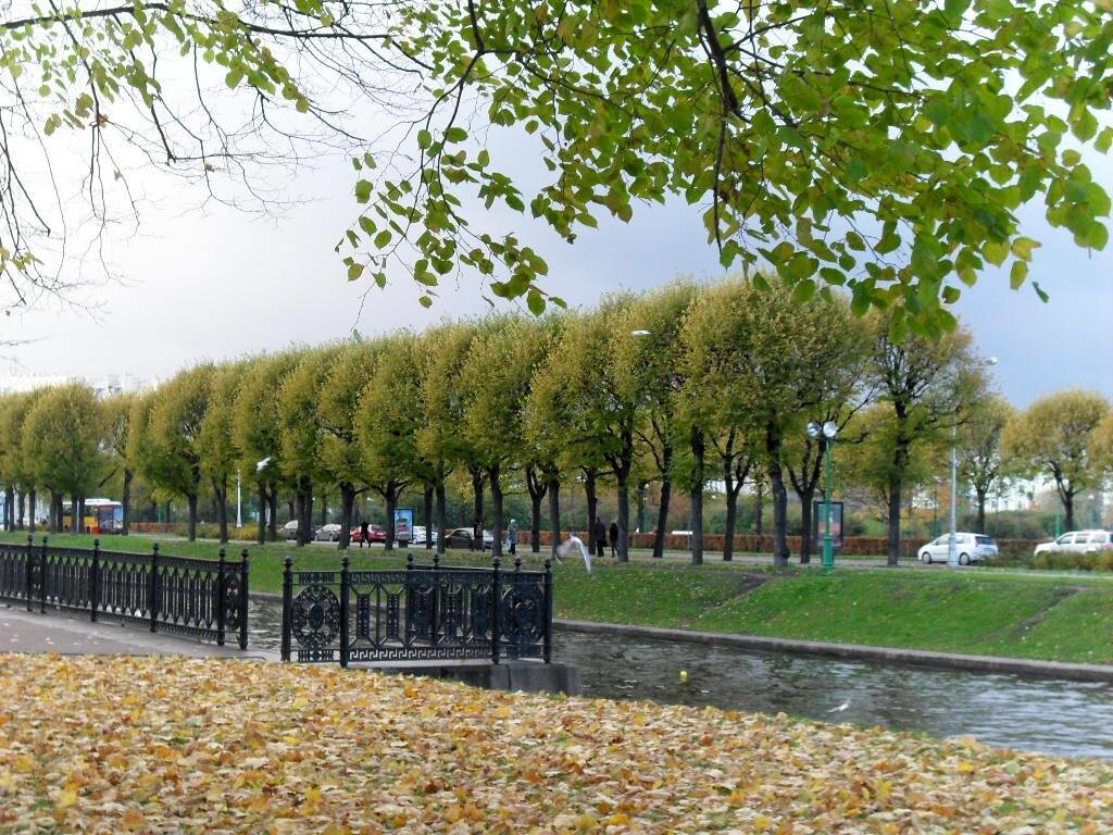 Осенний Петербург - Елена Суханова