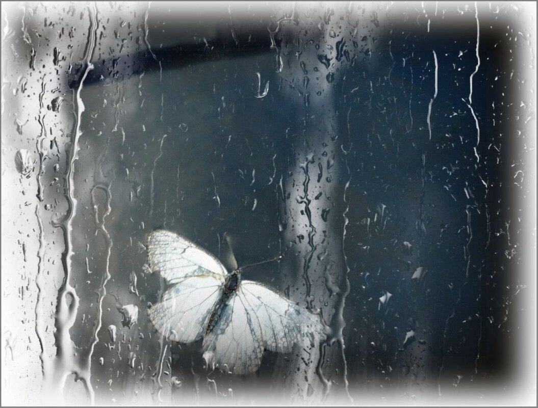 Бабочка за стеклом ... - Валентина Надсон