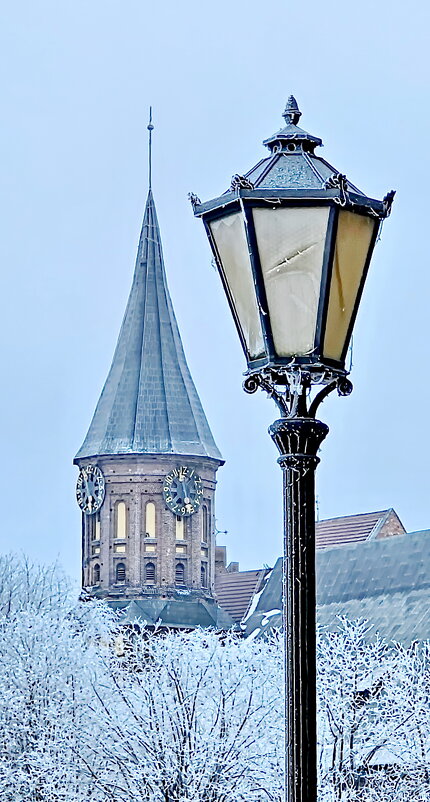 Калининград - Михаил Свиденцов