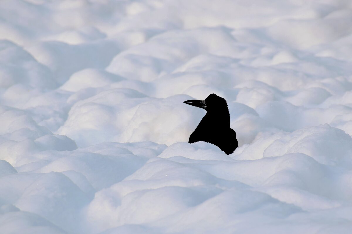 Скоро с головой накроет. - Татьяна Помогалова