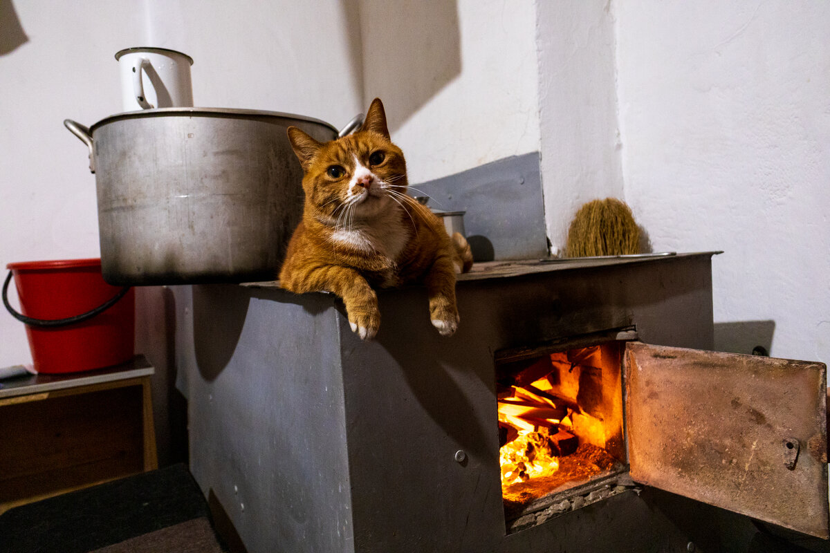 Кот огня. - Шурф Сьлядек 