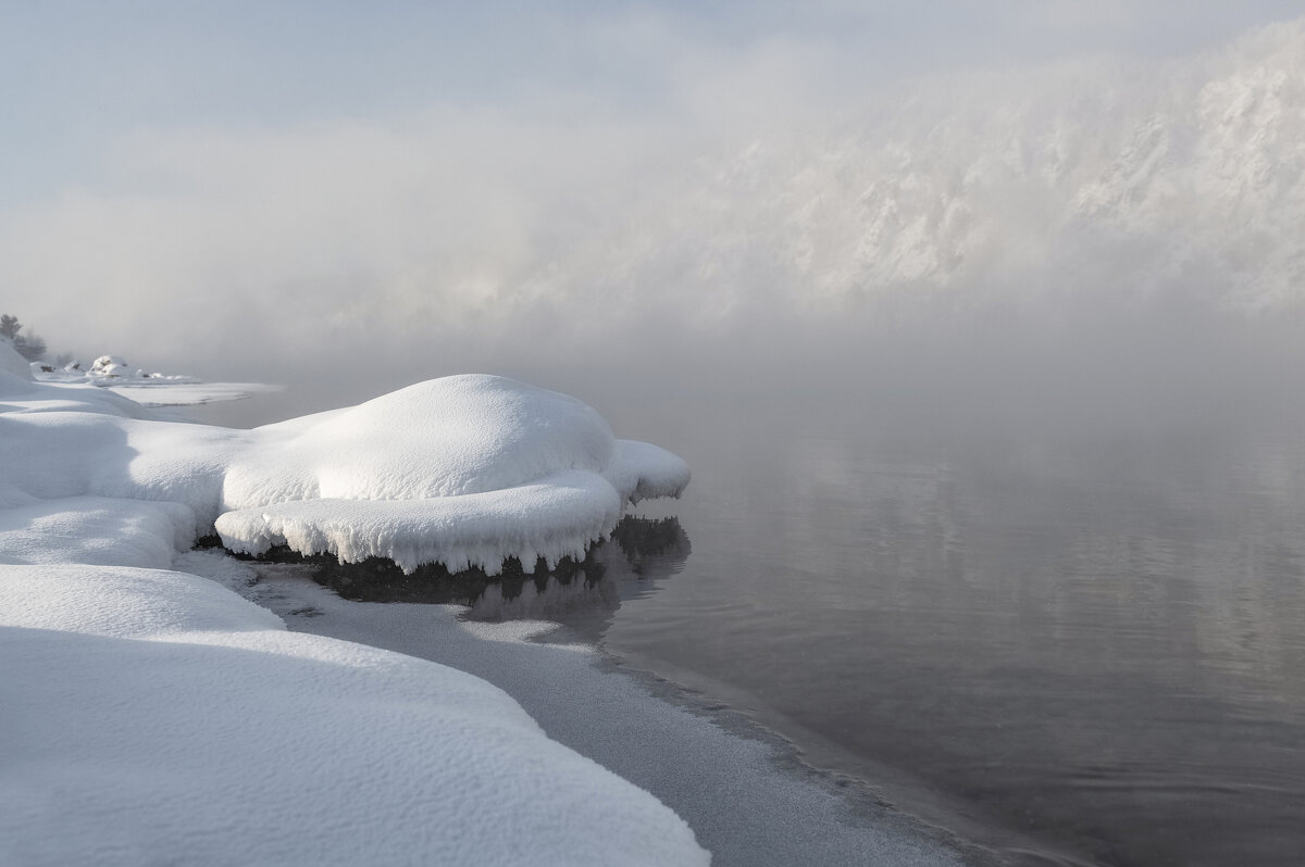 Снежная черепашка - Марина Фомина. Снежная черепашка - Марина Фомина.