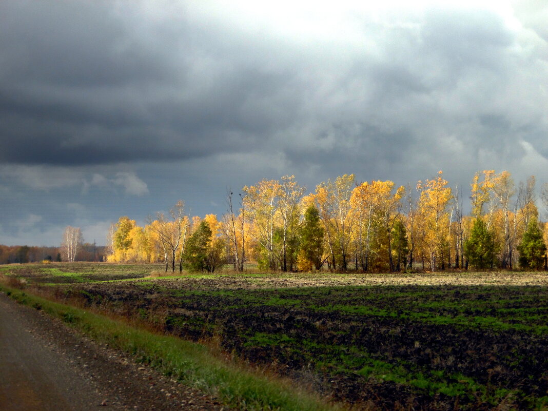 По земле гуляла осень. Краше этой нет поры… - nadyasilyuk Вознюк По земле гуляла осень. Краше этой нет поры… - nadyasilyuk Вознюк