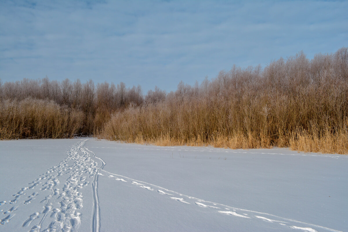 По снежной целине - Владимир Жуков По снежной целине - Владимир Жуков
