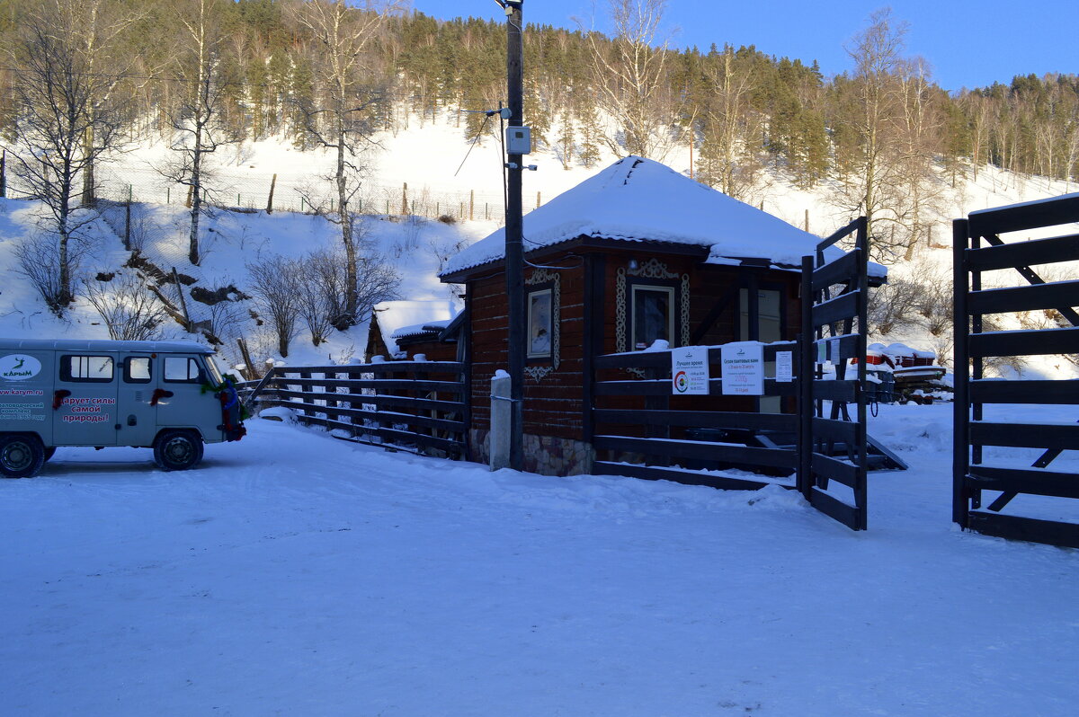 Мараловодческое хозяйство - Дарует силы самой природы - Татьяна Лютаева