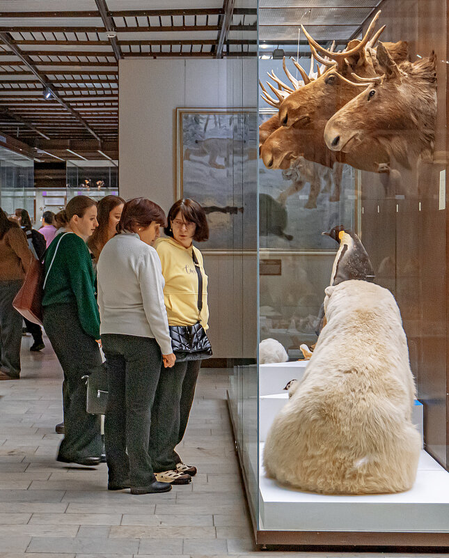 Мужское и Женское - Николай Нестеренко