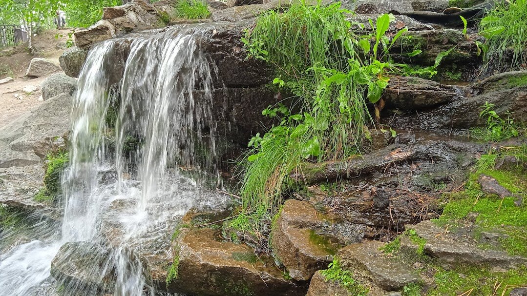 Радуга-парк - Елена Шаламова