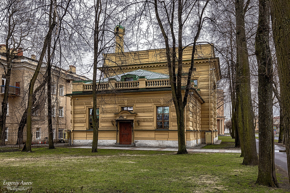 Сквозь кружево ветвей - Евгений Сквозь кружево ветвей - Евгений