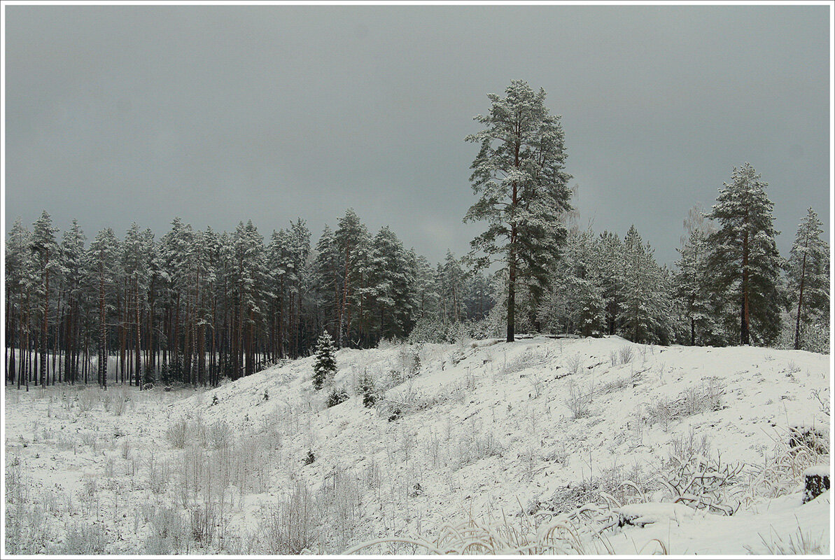 *** - Aleksandr Gal *** - Aleksandr Gal