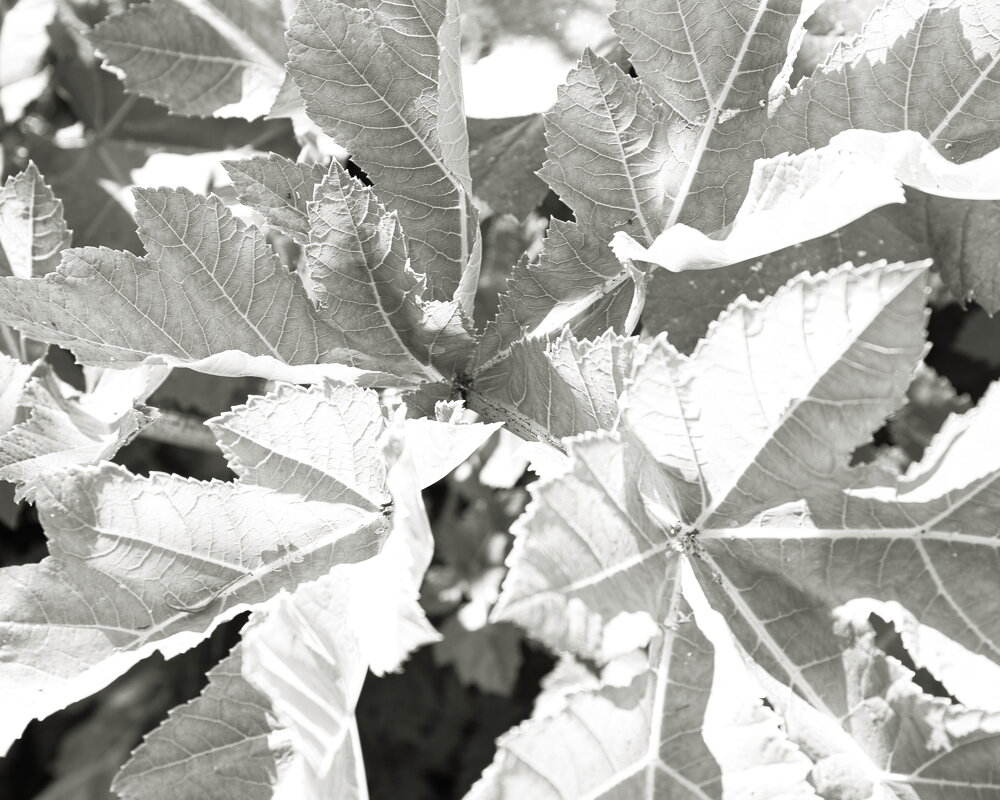 Фотография - Денис Безногов