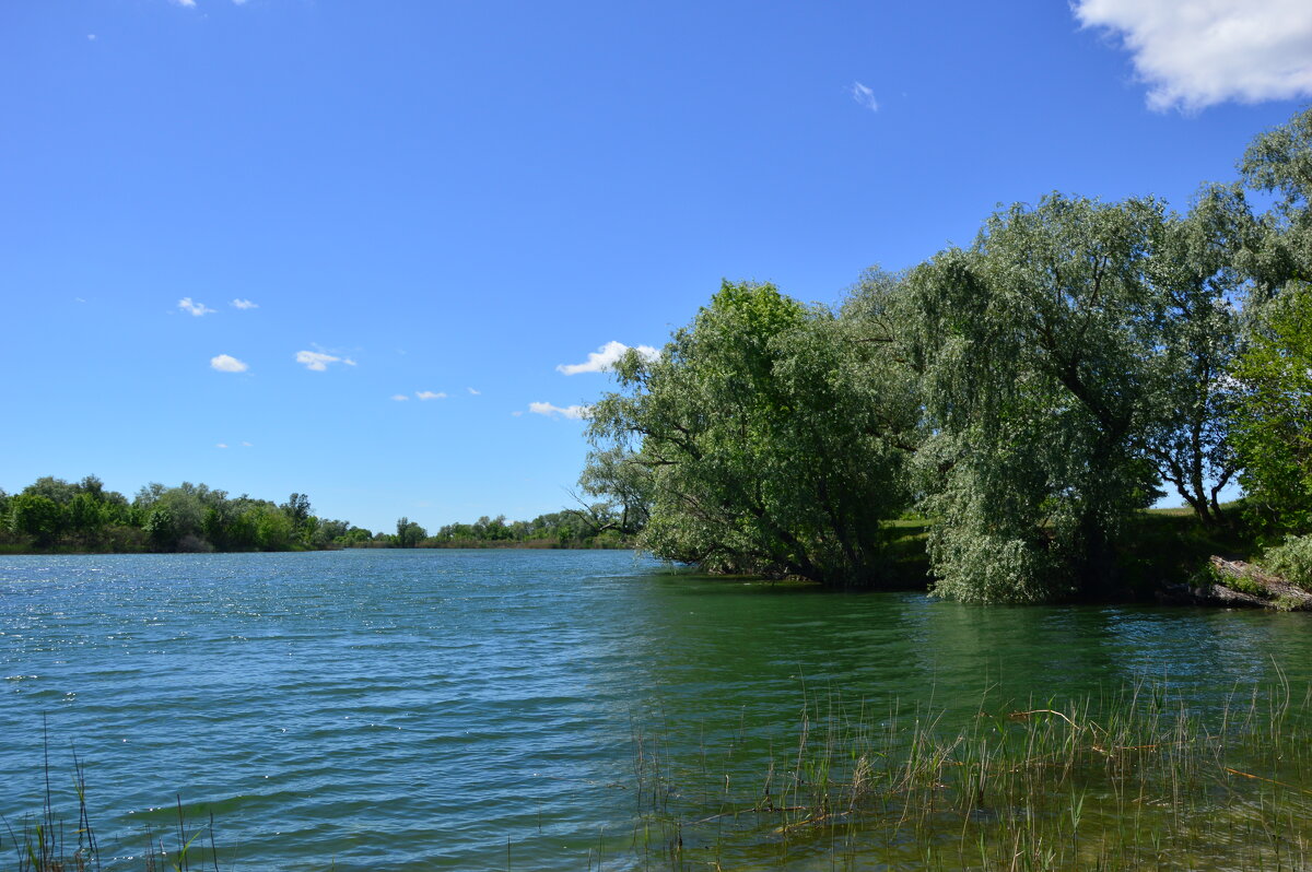 У реки. - Виктор 