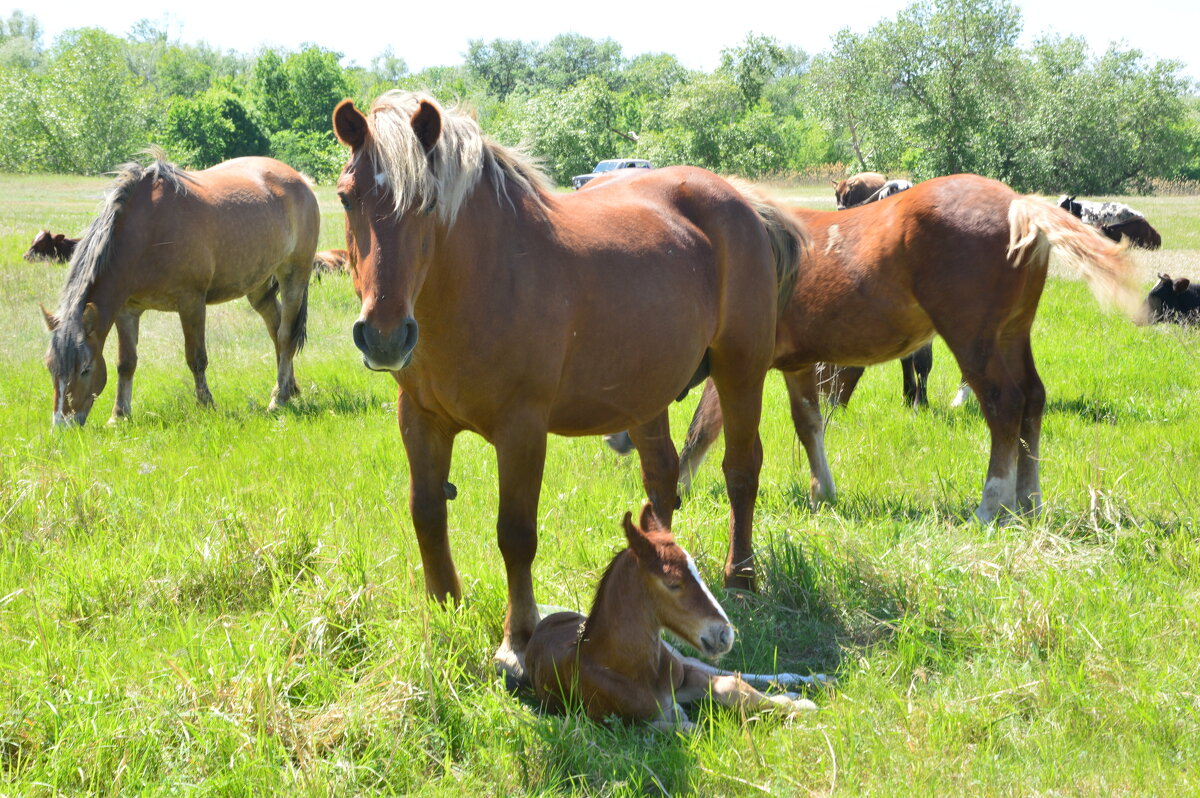 При маме. - Виктор 