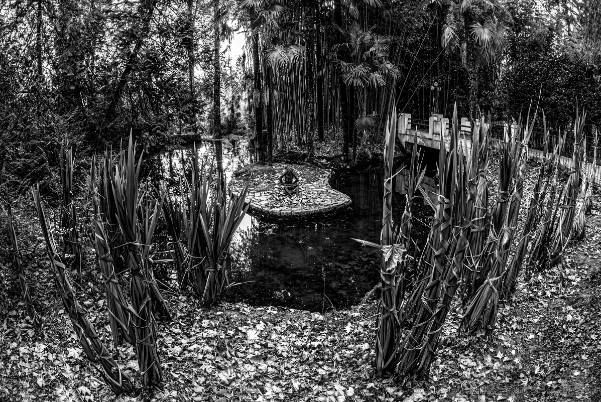 135 лет одиночества - Eugene *