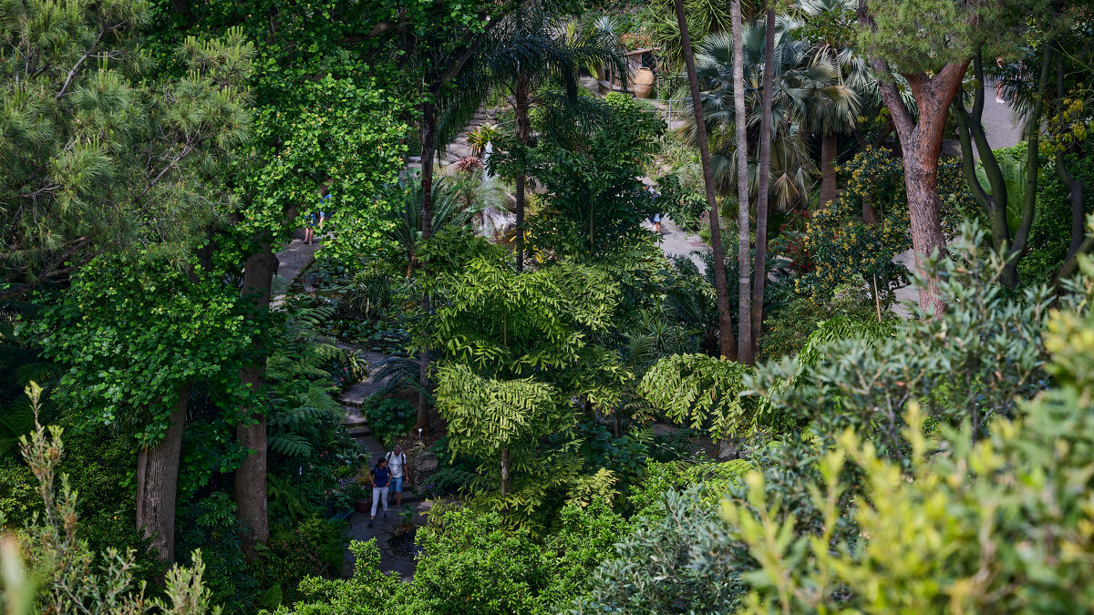 Зелёный мир... - Dmitriy Dikikh