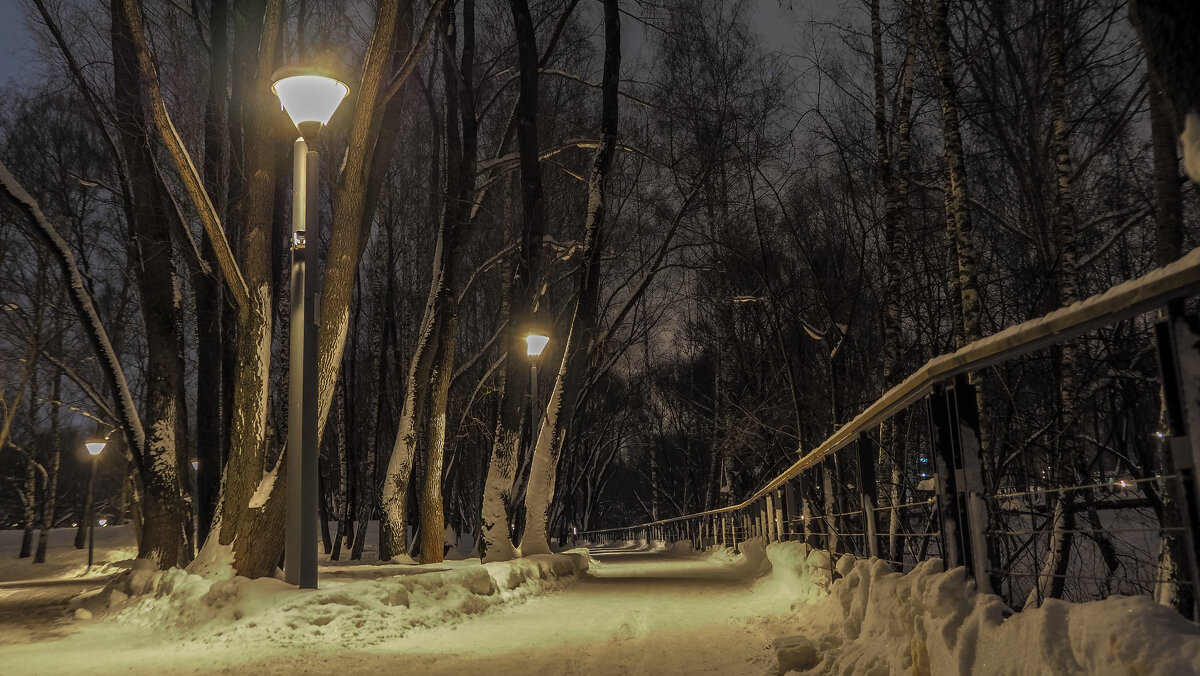 Зимний Вечер в Парке - юрий поляков Зимний Вечер в Парке - юрий поляков