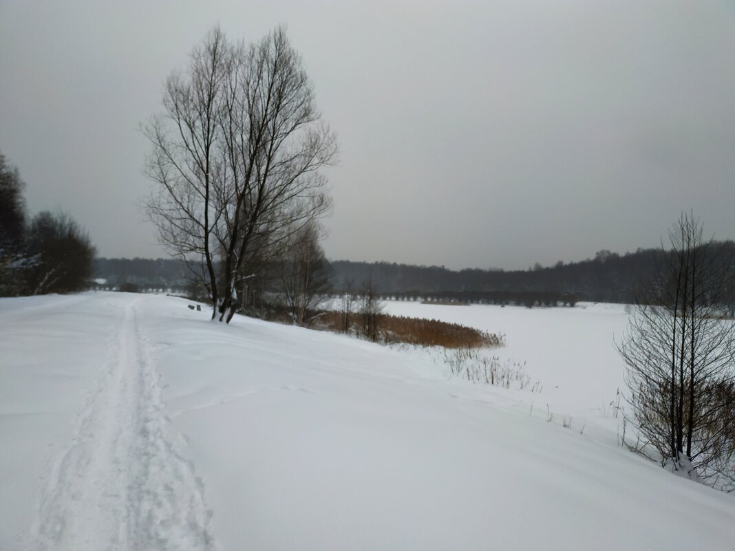 ЧБ графика зимы - Андрей Лукьянов