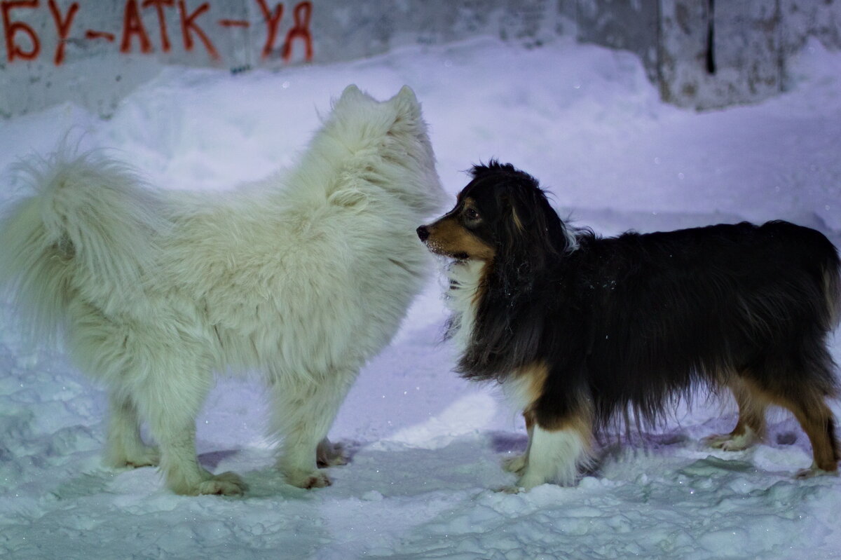 пазл - Артём Евтюхов
