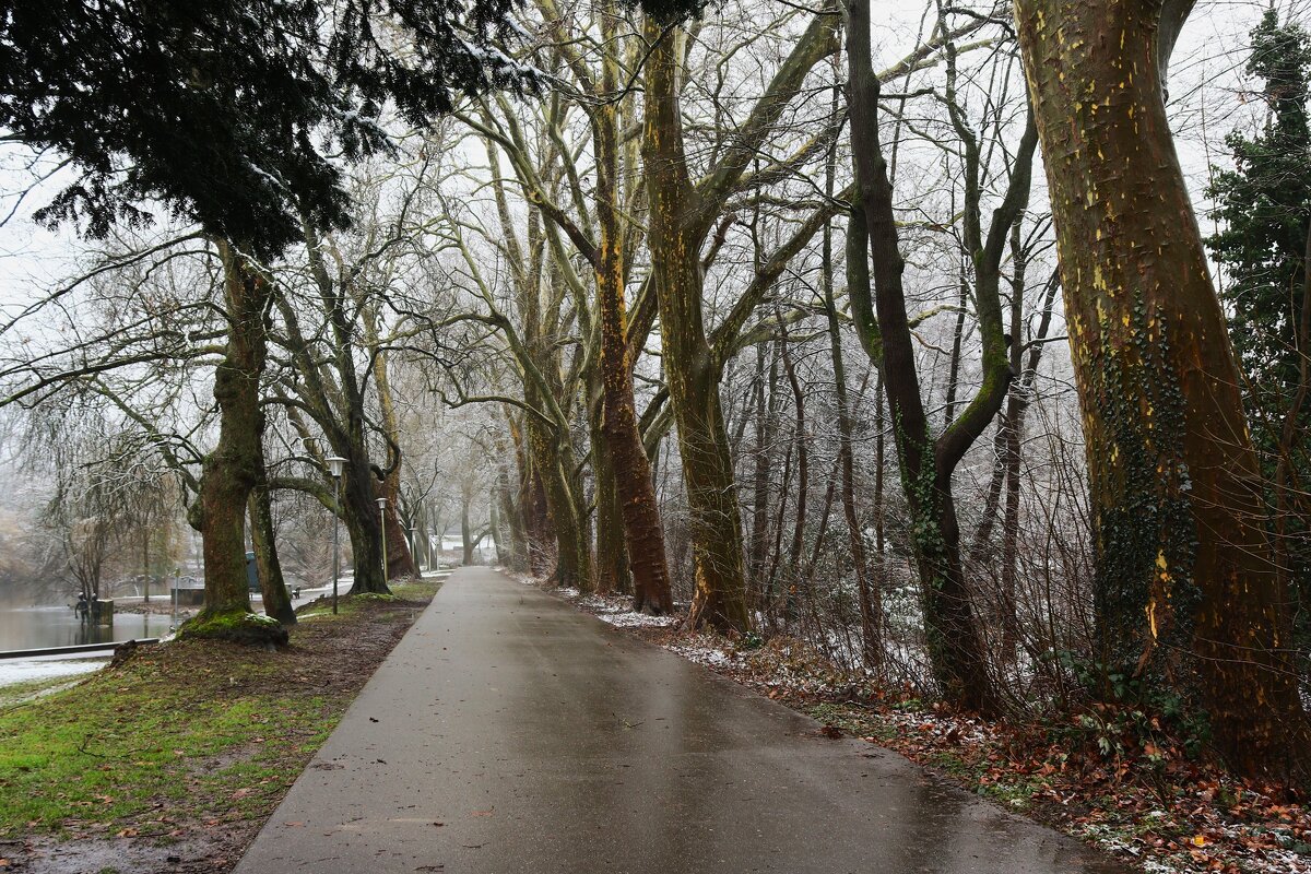 Непогода нынче в моде - Юрий. Шмаков Непогода нынче в моде - Юрий. Шмаков