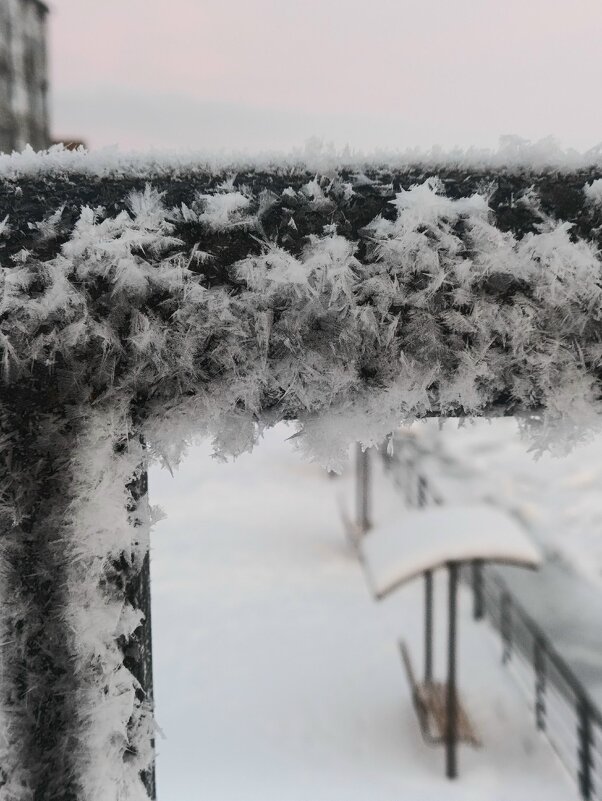 Снежный "пух" - Людмила Жданова