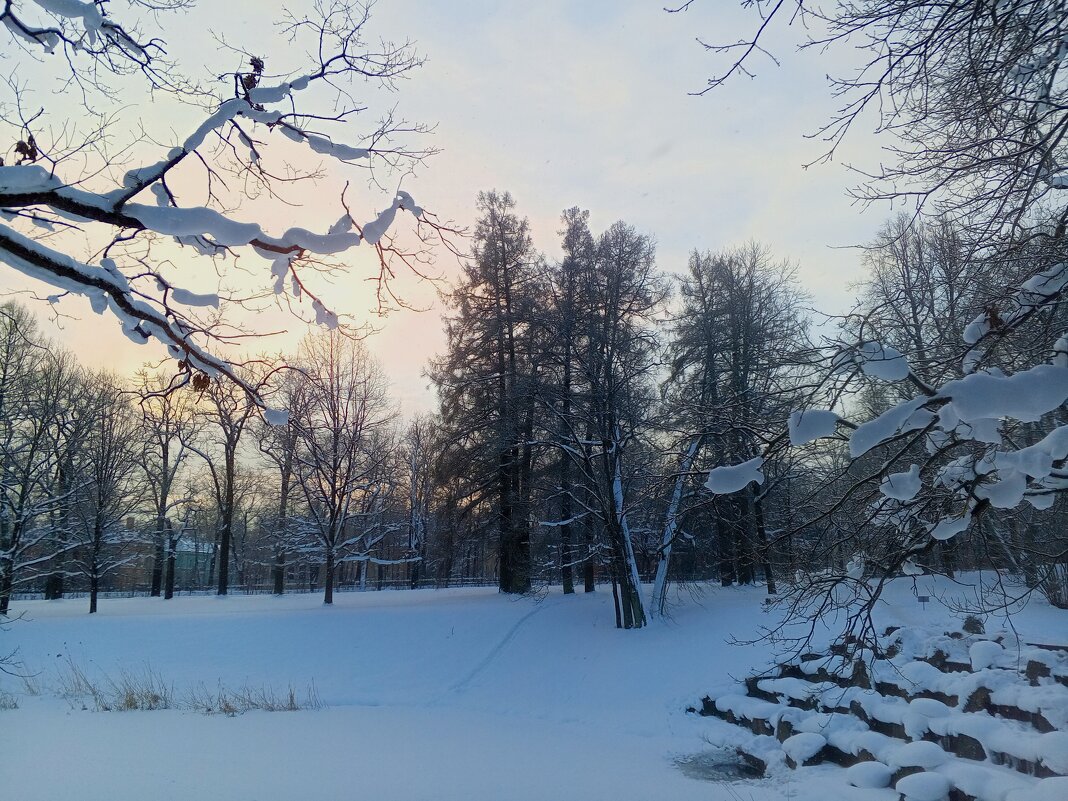 Рассвет - Сапсан 