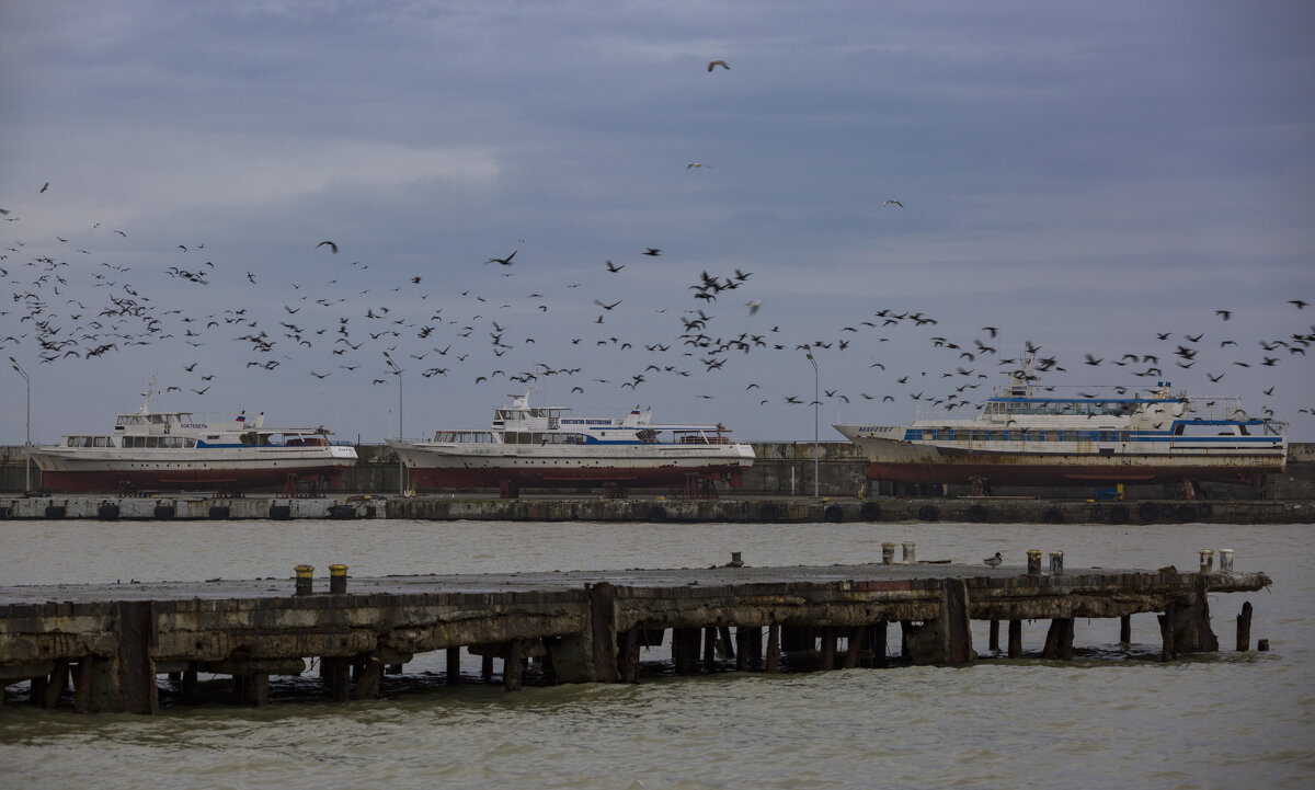 зимний приморский пейзаж - Елена Агеева зимний приморский пейзаж - Елена Агеева