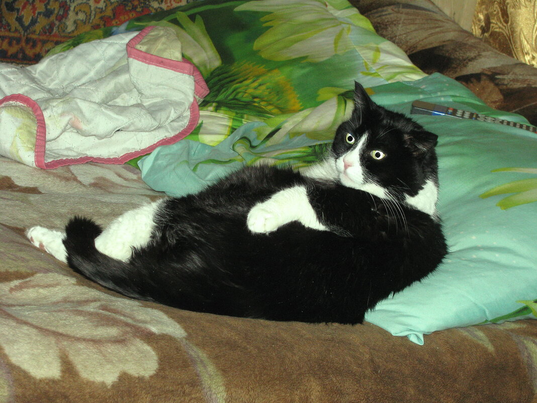 Я спать хочу, а ты мешаешь - Людмила Смородинская