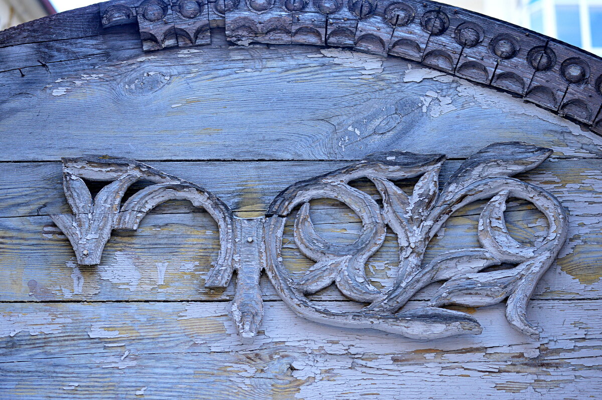 Томские цветочки - Татьяна Лютаева