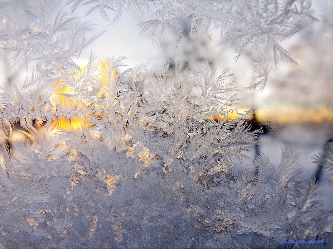 Ещё одно морозное утро.... - Андрей Заломленков Ещё одно морозное утро.... - Андрей Заломленков