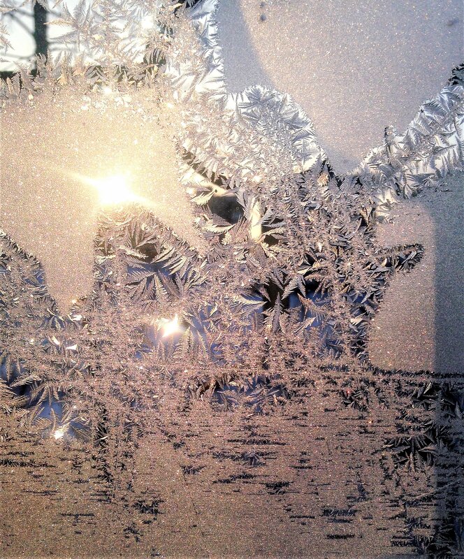 Мороз и солнце - Лариса С.